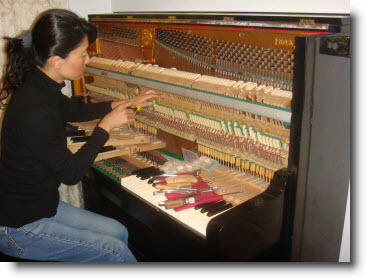 Piano Regulation
